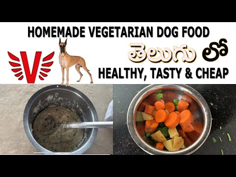 homemade-vegetarian-dog-food