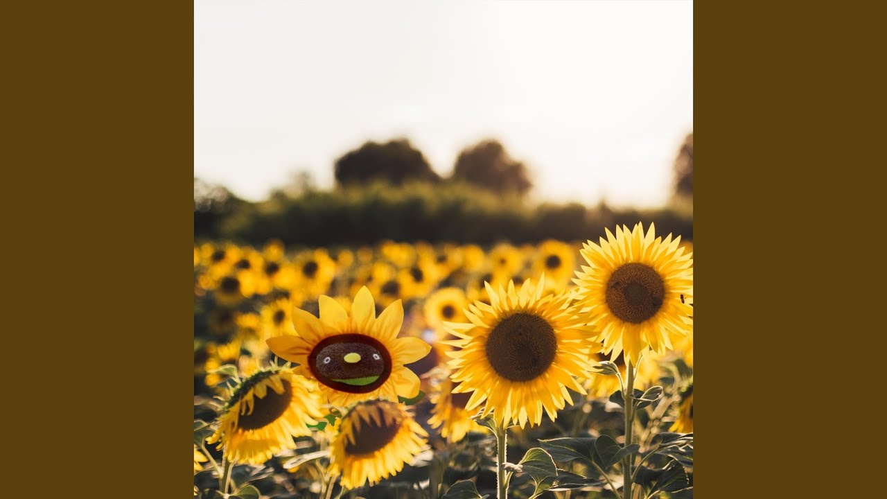 Sleduj Sunshine na YouTube Sleduj Sunshine na YouTube