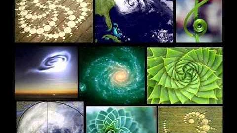 Patterns of Nature: Physics 2212 Extra Credit Video