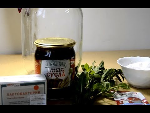 квас из концентрата квасного сусла