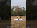 Cricket Mania. #cricket #morning #viral #field #workout #fresh #ytshorts #reels #videos #kaliachak