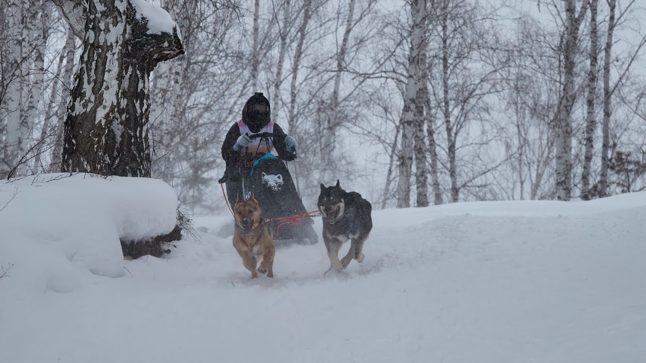 Евразия 21-22.02.2026 г. Каменск-уральский 1 этап