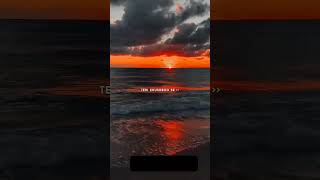 Download Lagu tere sang yaara (slowed + reverb) #lofi #music #song #tere sang yaara MP3