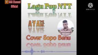 Terbaru Lagu Pop || AYAH || Cover Sopo Benu ||