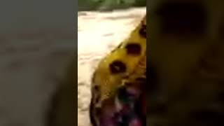 Yadda Ake Lalata Da Yan Mata Hausawa