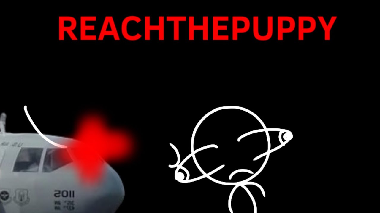 REACHTHEPUPPY - A Fan Animation (ft. Reach And Stickman) - YouTube