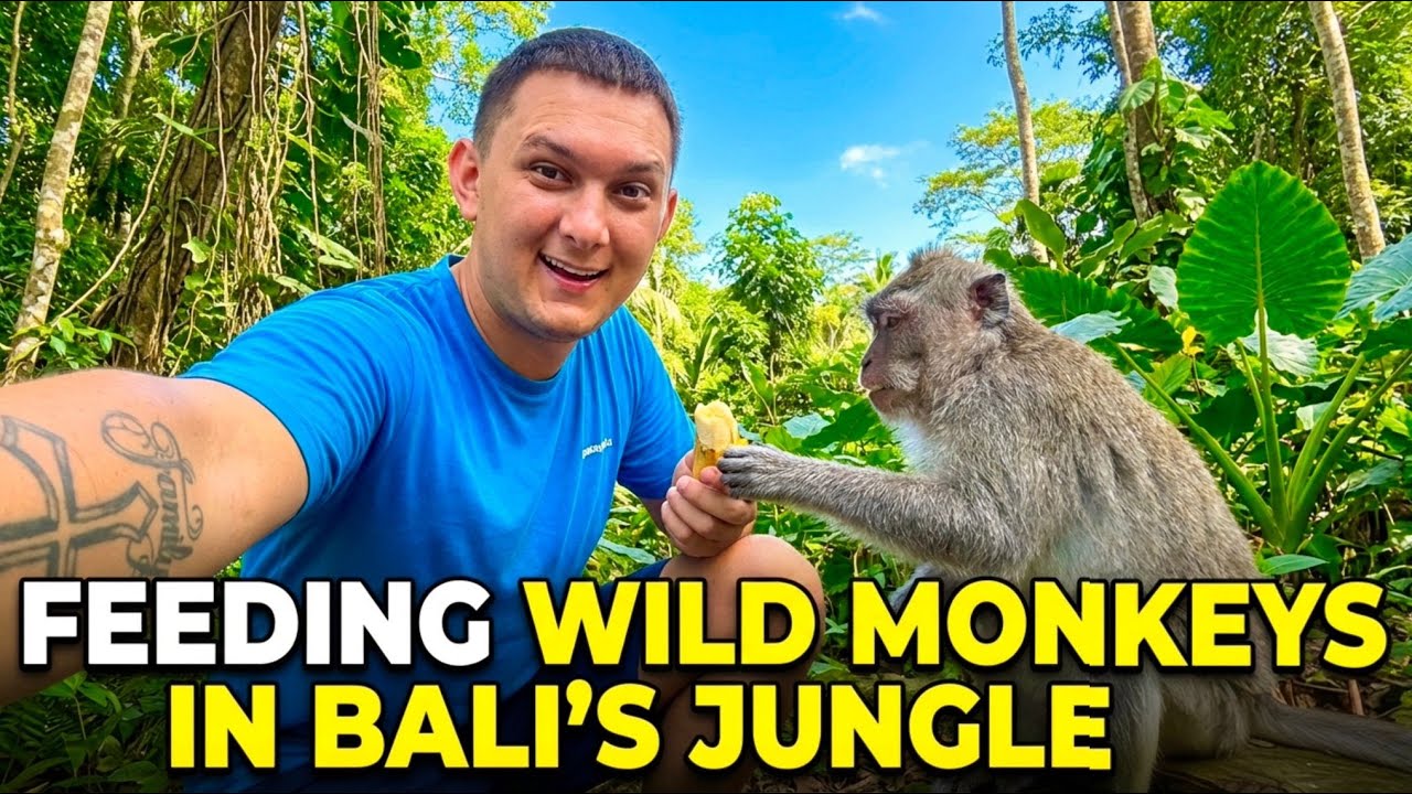 I Nearly Got Bitten By A Wild Monkey In Bali…