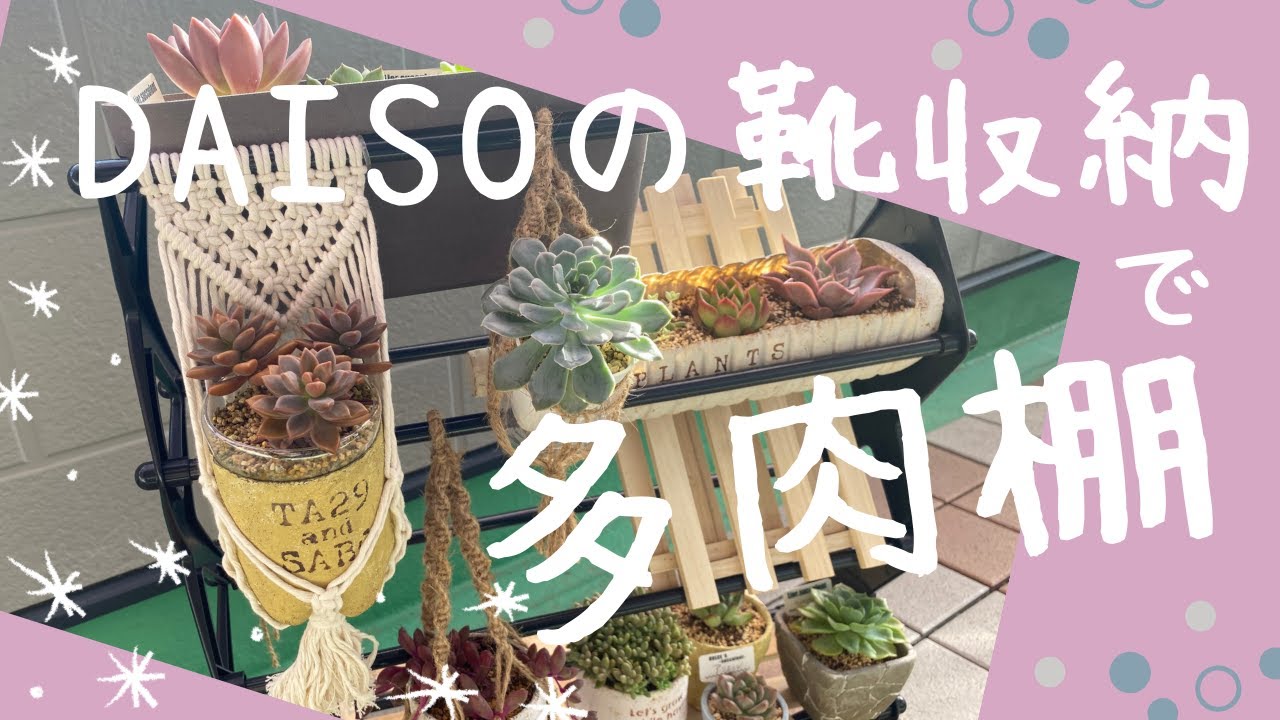 Succulents] I made two types of succulent shelves using Daiso