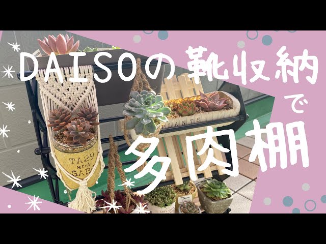 Succulents] I made two types of succulent shelves using Daiso