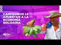 Peasants bet on the solidarity economy