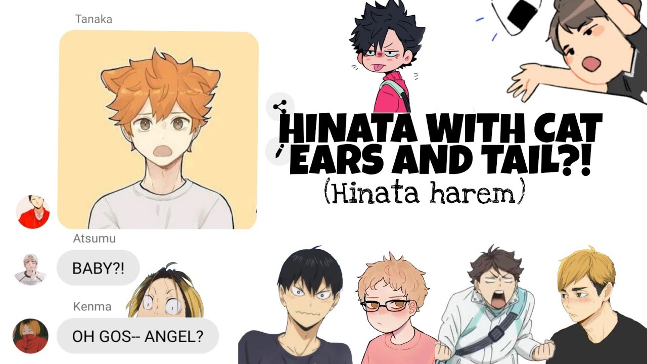 HAIKYUU CHATS: HINATA WITH CAT EARS AND TAIL?! (HINATA HAREM)