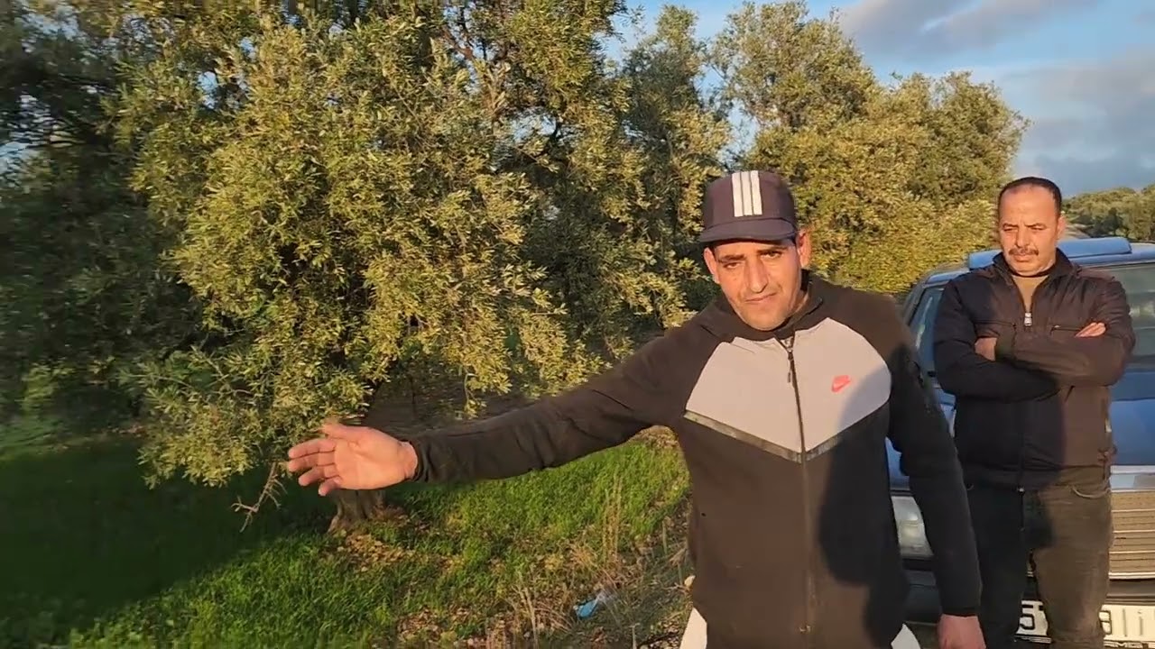 2026/02/11: أرض مساحتها 1000 متر بها 10زيتونات ملكية بثمن 4المليون الهاتف📞0666061770