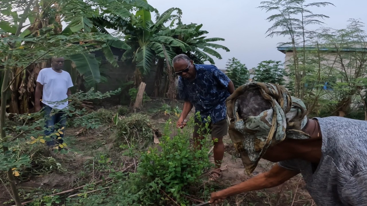 Mama Leads the Way: Family Farming in Ikorodu