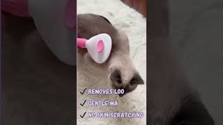 One-Click Self Cleaning Brush for cat, dog &amp; rabbits #cat #catcarebd #petcare #petball