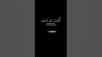 القارئ عمر بن ضياء الدين