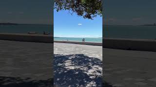 #normalday #auckland #beach #sea #travel #music #peace #coffee #newzealand #india