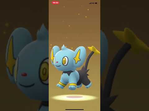 ポケモンGO 卵割り100%色違い出ました