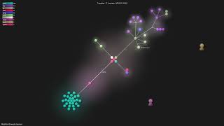 RealKai42/qwerty-learner - Gource visualisation