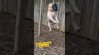 If Youre Going Up 2026 Type Amen Below