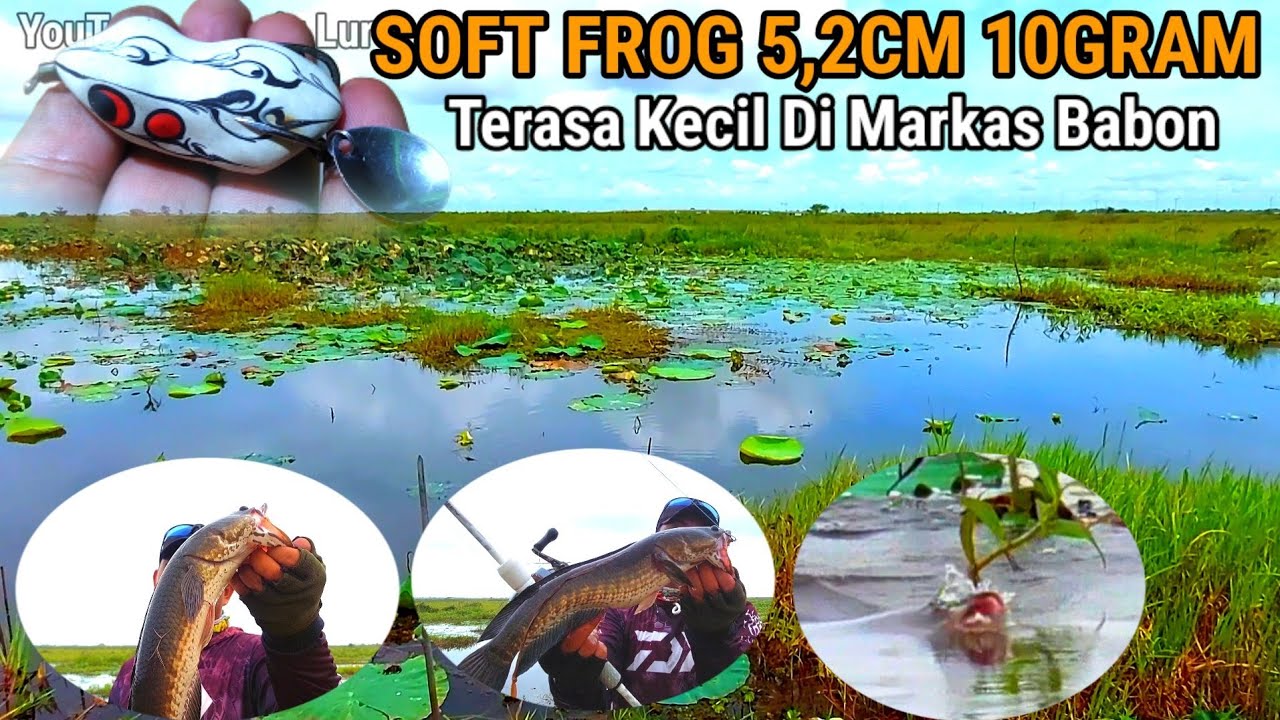 Oasiz 5,2cm Specialis Penggoda Babon PART 1 - Casting Ikan gabus - Casting Haruan - Chatcing Fish