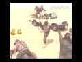 ابطال الجيش العراقي أسود الصحراء قبضو على جرذان داعش معى اغنيه حماسيه انه ابن الطك والدان بالميدان 