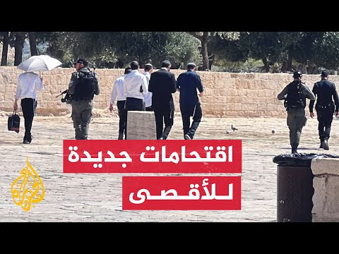 شاهد| مستوطنون يقتحمون المسجد الأقصى بحماية قوات الاحتلال الإسرائيلي