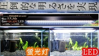 【LED照明】GEXのクリアLED POWER X 600は最強だった。薄くて眩しいぜ！【ふぶきテトラ】