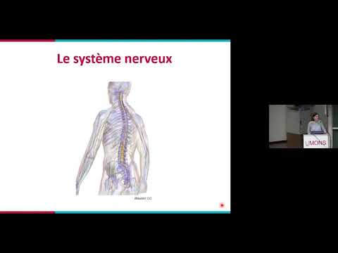 Cours ouverts/ Faculté de psychologie et des sciences de l'éducation/ Neurophysiologie