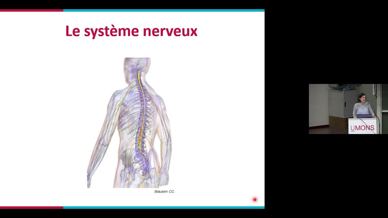 Cours ouverts/ Faculté de psychologie et des sciences de l'éducation/ Neurophysiologie