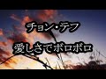 チョン・テフ 愛しさでボロボロ カラオケ