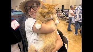 Happy Caturday! Live streaming now !