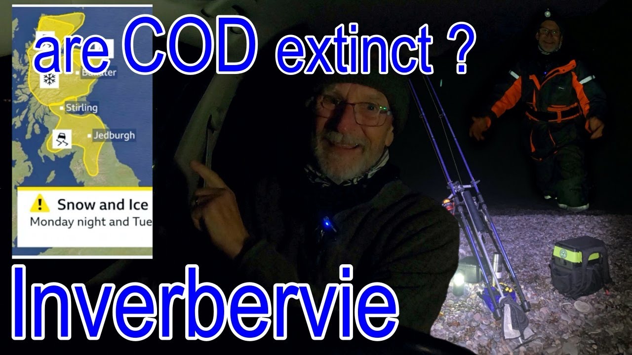 Сезон трески начался в Инверберви: как у меня дела?