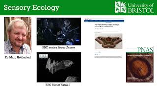 1  Biological Sciences Visit Day talk online
