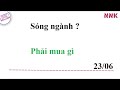 SÓNG NGÀNH NÀO ?