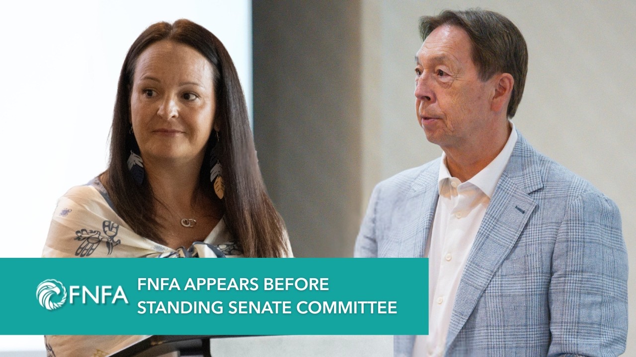 FNFA Appears Before Standing Senate Committee on National Finance