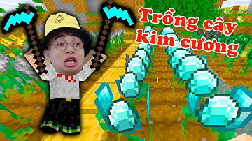 Làm Ruộng Thu Hoạch Ra Kim Cương Ngọc Lục Bảo Là Có Thật