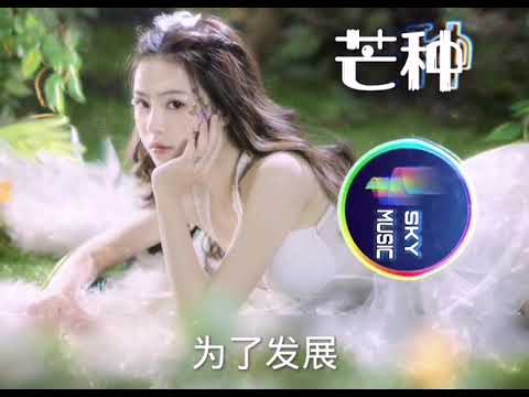 【神曲梦幻】芒种 - 二十四节气 【Hi-res】
