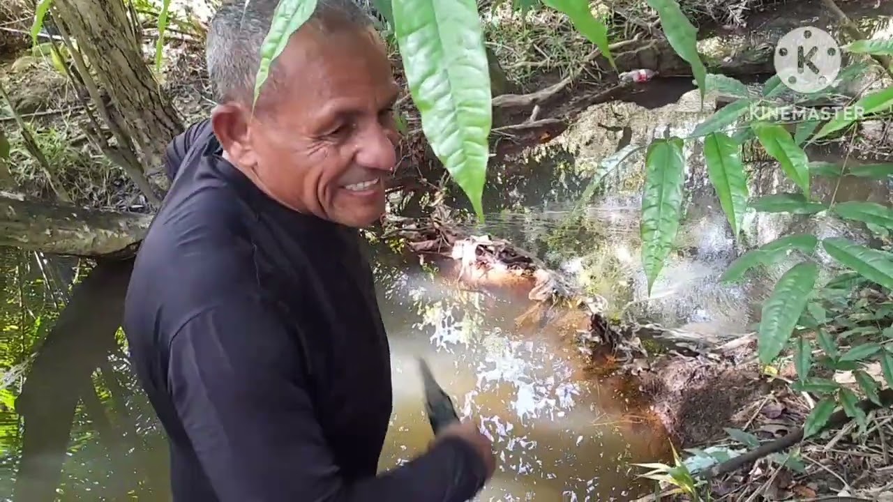 fui passar e. fiz Detectorismo