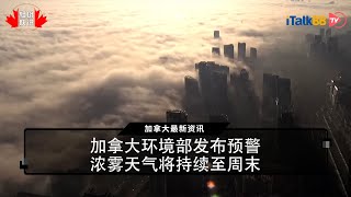 加拿大环境部发布预警，浓雾天气将持续至周末