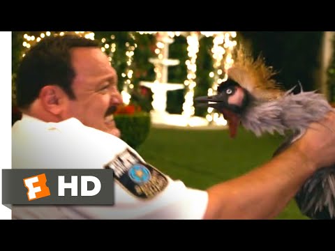 Paul Blart: Mall Cop 2 (2015) - Man vs. Bird Scene (4/10) | Movieclips