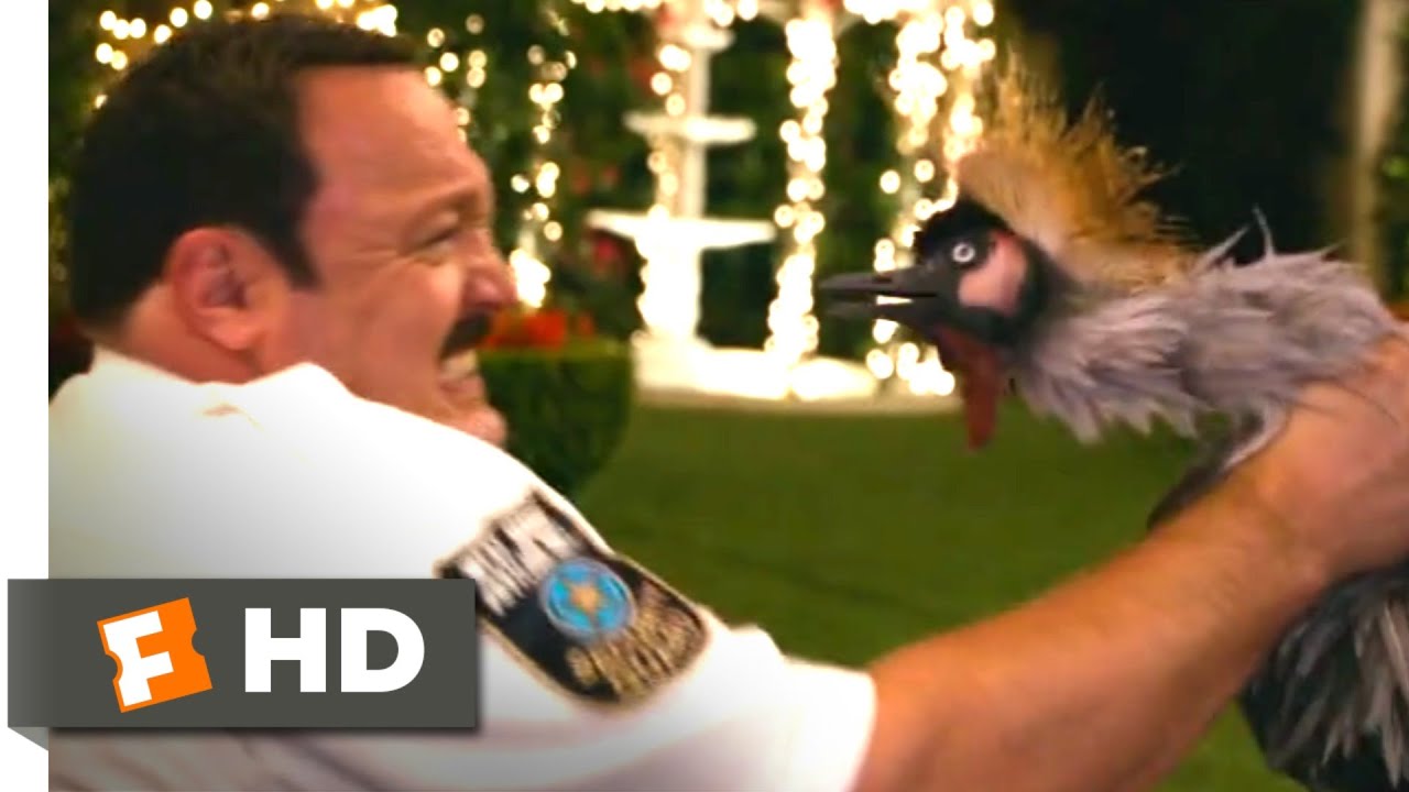 Paul Blart Mall Cop 2 (2015) Man vs. Bird Scene (4/10) Movieclips