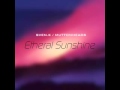 Miniature de la vidéo de la chanson Etheral Sunshine (Original Mix)