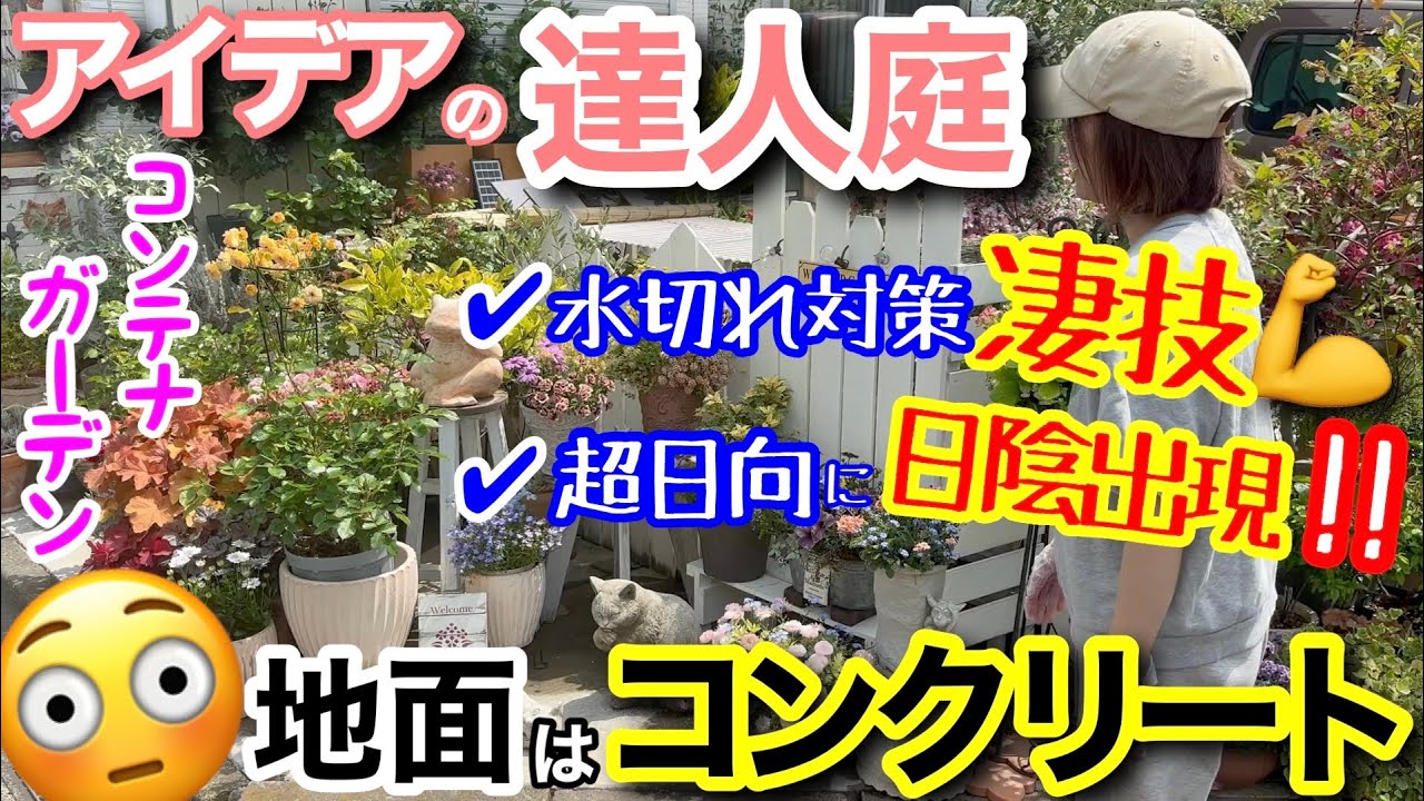 【個人邸/田辺様邸】花壇なしでここまでやれる✨/ マネしたくなるアイデア満載の達人庭🤗/ 悩まされる水切れは〇〇を使え‼️ラックスの夏越しは驚きの場所で/肥料は少なめ？！凄すぎてため息【ガーデニング】