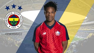 Fenerbahçe Loic Remye 2 Yillik Sözleşme Tekli̇f Etti̇ 2019 2020 Tüm Leri̇