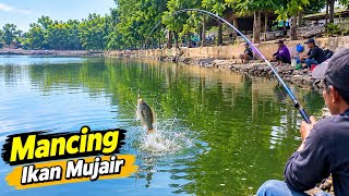 Fishing in the Middle of a Jakarta Cemetery‼️ Refreshing at Kampung Bintaro Lake