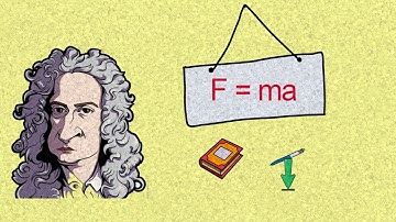 Why Objects Fall At The Same Time (Newton Gravity Idea)