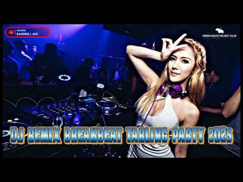 dj remix breakbeat tarling party vol 2