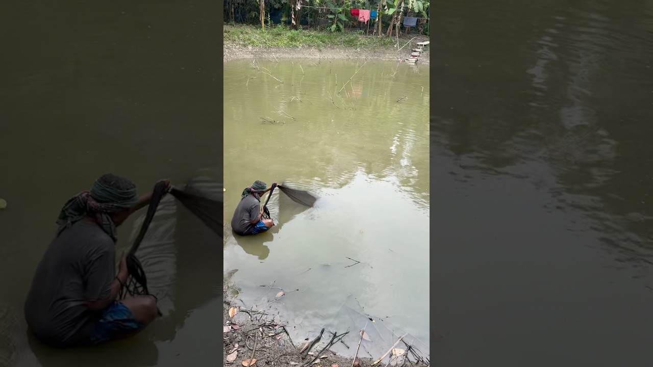 Most Amazing Catch Caught on Camera! 🐠✨ 