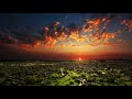 夕暮れ/山本耕史