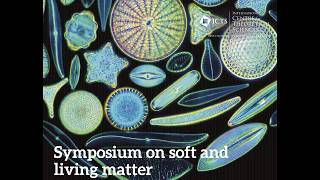 Active Geometrodynamics Predicts the Emergence of Cytokinesis by Vijaykumar Krishnamurthy